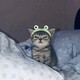 creator avatar