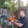 Unwind/Rodney