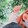 Julia_9593