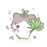 o3yoon