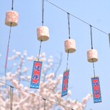 zhonggongti___i
