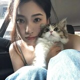 hemimiyiqichang