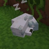 MicinCraft