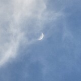 neptune_0625