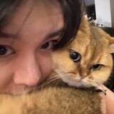 baitaoxizi_