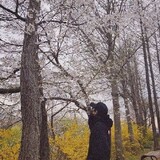 xiwaidedadanai