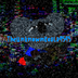 TheUnknownKoala4545