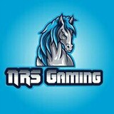 NRS Gaming