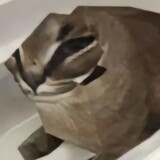 wuwuwuwuwu3