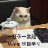 wenjiushizaipractice