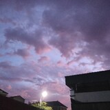Quỳnh Anh_13
