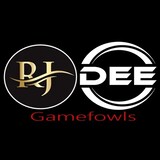 RJ Dee Gamefowls