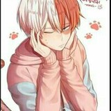 shoto todoroki_