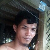 Archie petere
