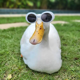 gesongyazi