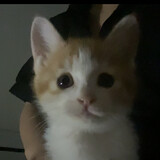 xiao___mihexiao___
