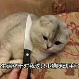 aikuguiyuechuliang