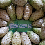 NoniVietNam