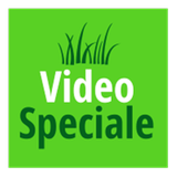 Videospeciale