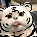 mengchongdanganlaila