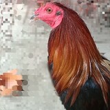 BBBSAGUPAAN