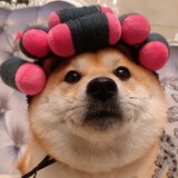 zhuanzhikuailekecp