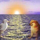 cheems_samai