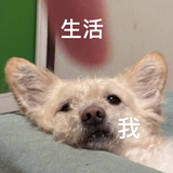 zqzqqqqzq