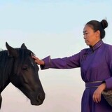 caoyuansaibeigugu