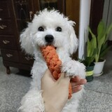 pipeipupu