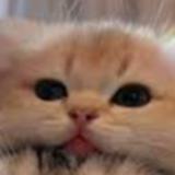 hannan_45
