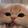 hannan_45