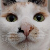 yuzhounaomoweiyingwu