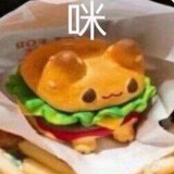 paocaiyanchu