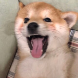 huachaowudao