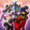 TOKUSATSU HOME