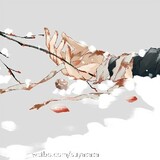 yuluobeihan