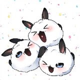 《[Pembunuh_Kecoa]》