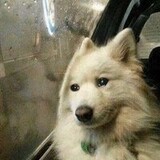 ออะอิอุเอะโอะ