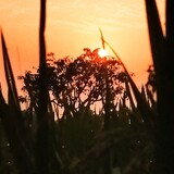 Nature Of Village