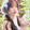 pingjingtaozijiang_