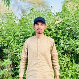 M saim_9534
