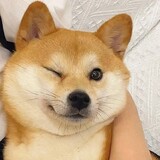 woyoumuleya