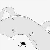 AmoXxxx