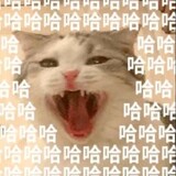 xiaoshijiedi
