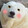xiongsiji_xiongsir