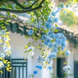 Beautiful actres