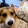 tomichi_03