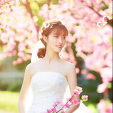 aimeeluyao