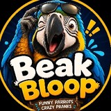 Beak Bloop